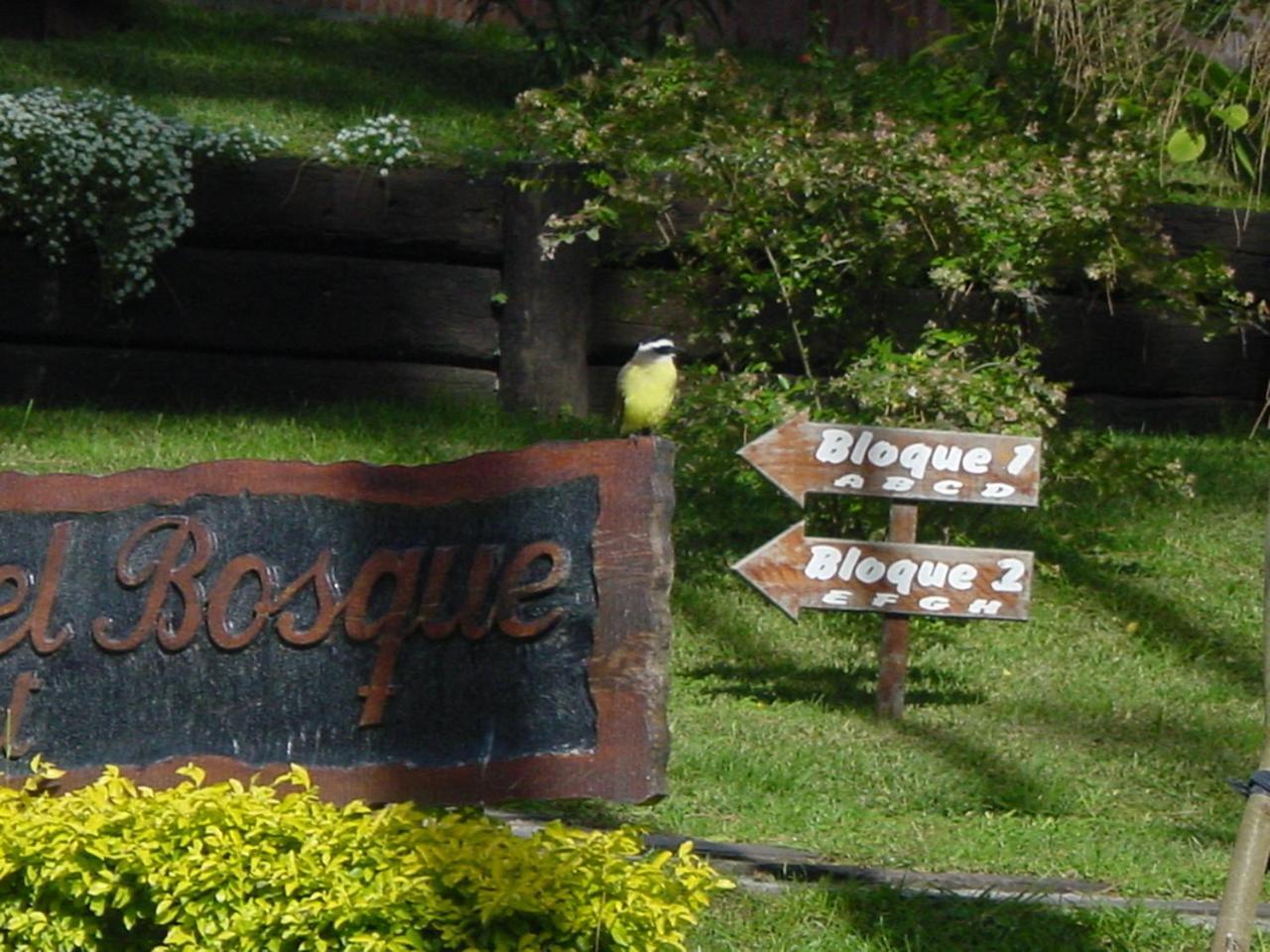 Вілла Refugio Del Bosque Каріло Екстер'єр фото