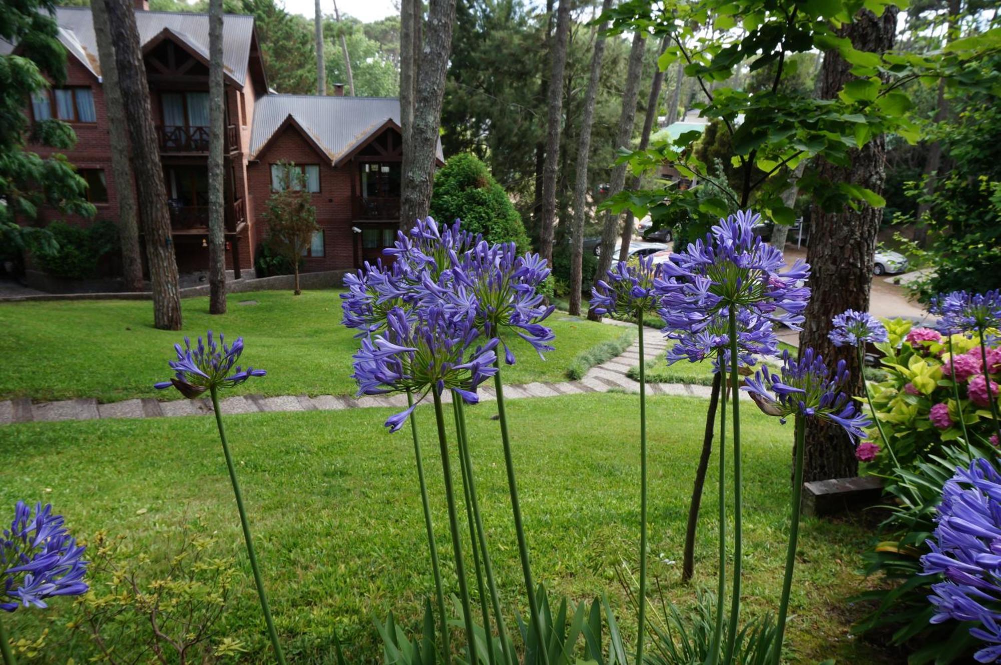 Вілла Refugio Del Bosque Каріло Екстер'єр фото
